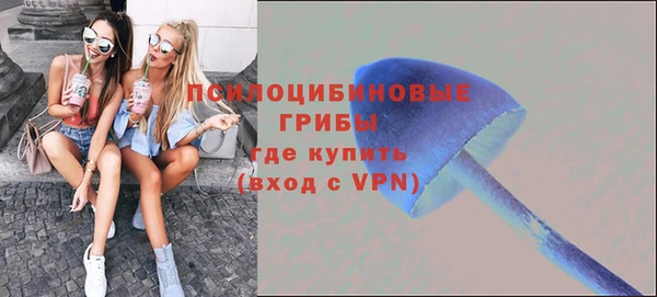 прущий лед Богородицк