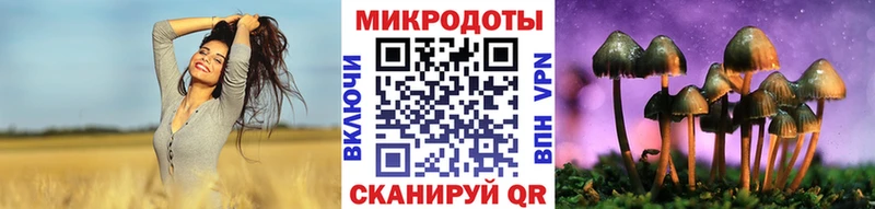 Псилоцибиновые грибы Psilocybine cubensis  Краснотурьинск 